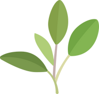 L-Théanine