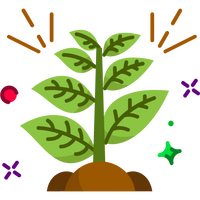 Plantes biologiques